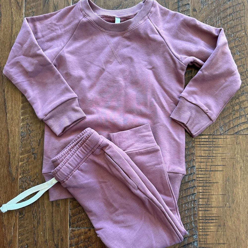 Sweater set - mauve NWT